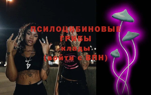 прущая мука Пересвет