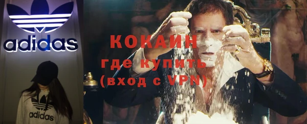 прущие грибы Пестово