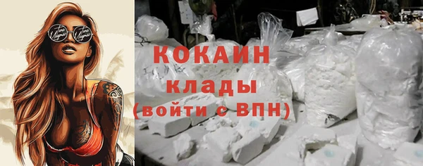 прущие грибы Пестово